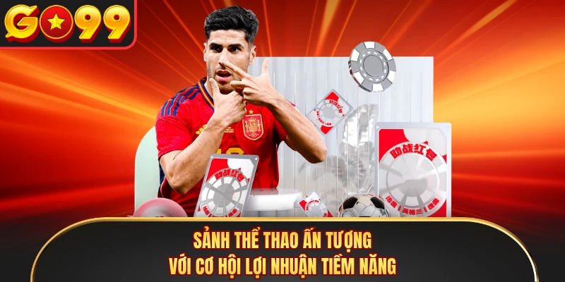 Sảnh thể thao ấn tượng với cơ hội lợi nhuận tiềm năng